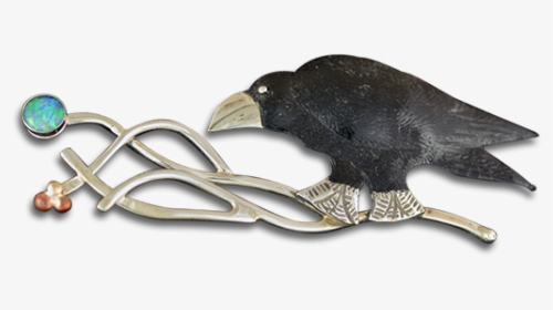 C1-p0163 - Parrot, HD Png Download, Transparent PNG