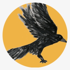 Crow Intelligence - American Crow, HD Png Download, Transparent PNG