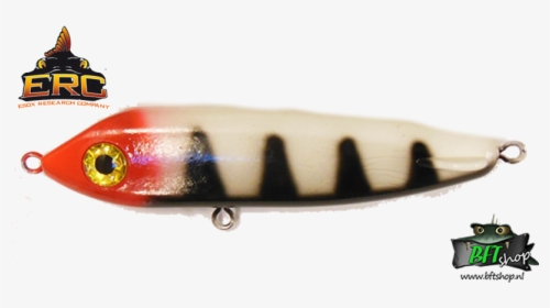 Fish, HD Png Download, Transparent PNG