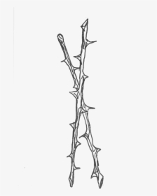 796 X 1061 - Thorns Drawing, HD Png Download, Transparent PNG