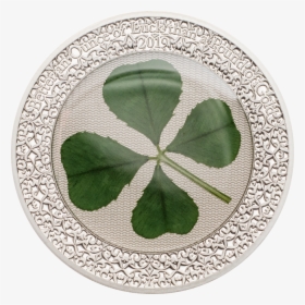 Real St Patrick's Day Clover 4 Leaf, HD Png Download, Transparent PNG