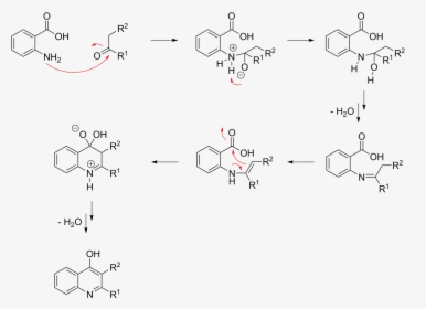 Niementowski Quinoline Mechanism - Friedlander Synthesis Of Quinoline, HD Png Download, Transparent PNG