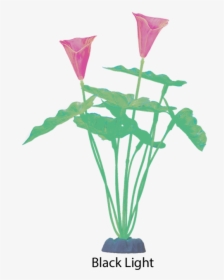 Glofish 19272 Extra Large Color Changing Green Plant - Garden Roses, HD Png Download, Transparent PNG
