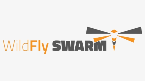 Wildfly Swarm Logo, HD Png Download, Transparent PNG