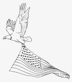 Easy American Eagle Drawing, HD Png Download, Transparent PNG