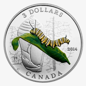 Coin, HD Png Download, Transparent PNG
