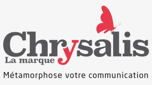 Logo Fond Blanc Chrysalis - Graphic Design, HD Png Download, Transparent PNG