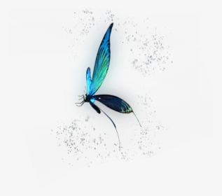 Illustration, HD Png Download, Transparent PNG