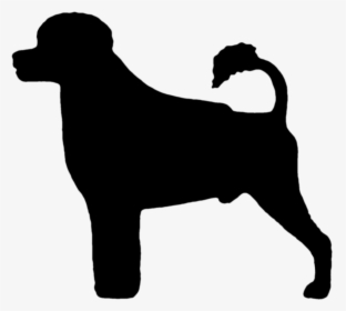 Silhouette Of A Portuguese Water Dog In Lion Clip - Companion Dog, HD Png Download, Transparent PNG