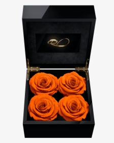 Preserved Red Rose Box, HD Png Download, Transparent PNG