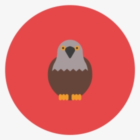 This Icon Represents A Falcon - Hawk, HD Png Download, Transparent PNG
