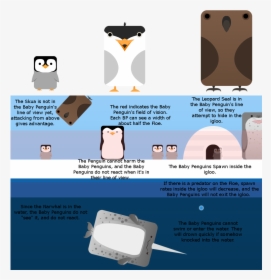 [artwork Stats] Three New Arctic Birds Baby Penguin, - Cartoon, HD Png Download, Transparent PNG