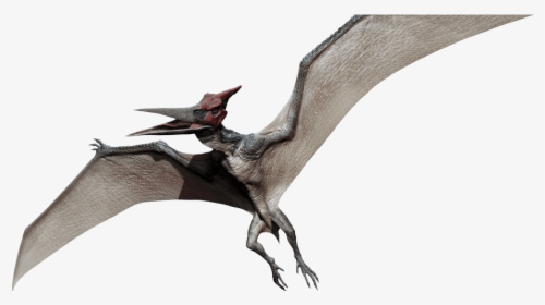 Premium PSD  Flying pterodactyl isolated on transparent background