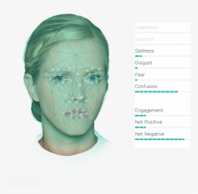 Human, HD Png Download, Transparent PNG
