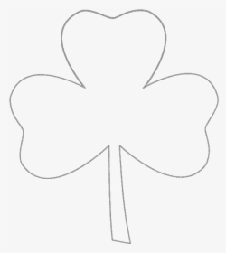 Four-leaf Clover Coloring Book Shamrock - 3 Leaf Clover Drawing, HD Png Download, Transparent PNG