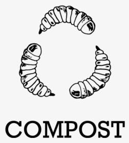 Live Bsfl For Compost - Maggot Clipart Black And White, HD Png Download, Transparent PNG