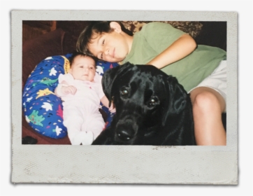 Picture Frame, HD Png Download, Transparent PNG