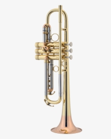 Signature Bb Trumpet Image - Trumpet, HD Png Download, Transparent PNG