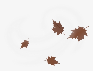 Brown Fall Leaves Vector Drawing On White Background - Maple Leaf Blowing In Wind, HD Png Download, Transparent PNG