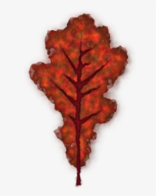 Vector Graphics,free Pictures, Free Photos, Free Images, - Smooth Sumac, HD Png Download, Transparent PNG