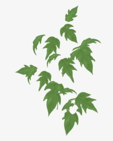 Swamp Maple, HD Png Download, Transparent PNG