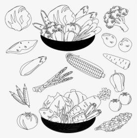 Sketch, HD Png Download, Transparent PNG