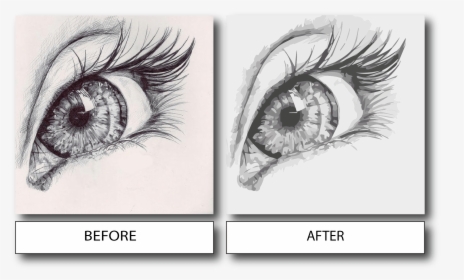 I Will Vector Trace Your Drawing - Aprender A Dibujar Ojos, HD Png Download, Transparent PNG