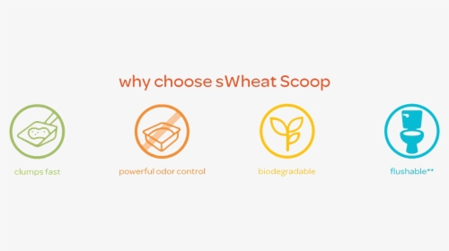 Swheat Scoop Features - Circle, HD Png Download, Transparent PNG