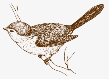 Bird Songbird Branch - Clip Art Vintage Bird, HD Png Download, Transparent PNG