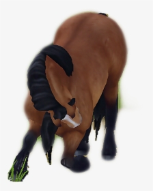 #kompliment #figur #figure #sso #pony #norvik #emoji - Mustang Horse, HD Png Download, Transparent PNG