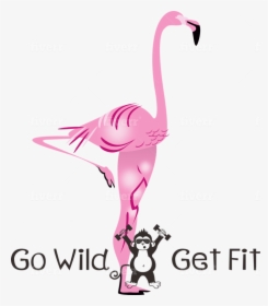 Greater Flamingo, HD Png Download, Transparent PNG