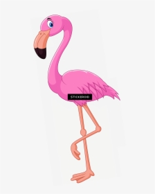 Flamingo Transparent Cartoon - Transparent Background Flamingo Clipart, HD Png Download, Transparent PNG