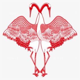 Greater Flamingo, HD Png Download, Transparent PNG