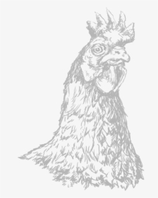 Chicken Drawing White - Sketch, HD Png Download, Transparent PNG