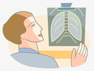 Vector Illustration Of Medical Doctor Physician Examines - Illustration, HD Png Download, Transparent PNG