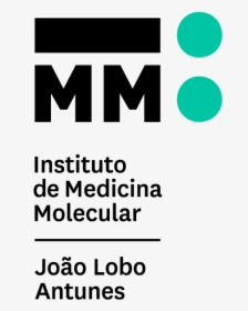 Instituto De Medicina Molecular, HD Png Download, Transparent PNG