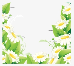 Фотки Flower Backgrounds, Pretty Flowers, Daisy, Flower - Bordure De Fleur Png, Transparent Png, Transparent PNG