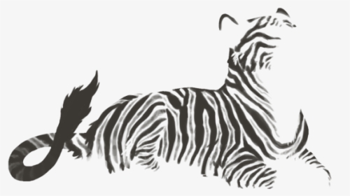Zebra, HD Png Download, Transparent PNG