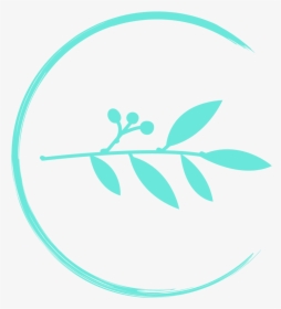 Circle, HD Png Download, Transparent PNG