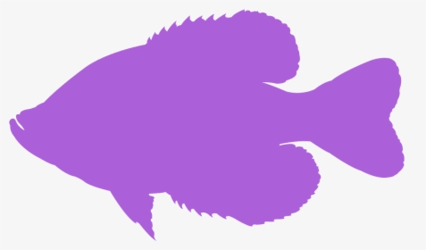 Sole, HD Png Download, Transparent PNG