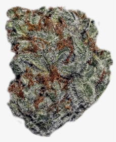 Strawberrycough - Wool, HD Png Download, Transparent PNG