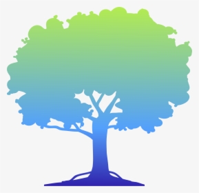 Silhouette Of A Orchard Tree, HD Png Download, Transparent PNG