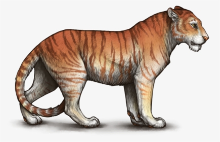 7sojloh - Tigon Lioden, HD Png Download, Transparent PNG