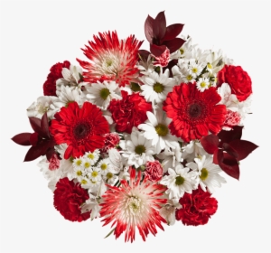 Valentines Flowers Red Carnations Spider Poms White - Bouquet, HD Png Download, Transparent PNG