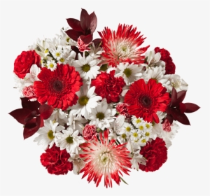 Valentines Day Flowers Red Carnations Gerberas White - Buchet Trandafiri Rosii Si Albi, HD Png Download, Transparent PNG