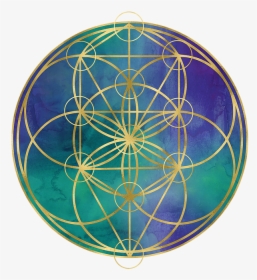 Circle, HD Png Download, Transparent PNG