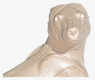 Companion Dog, HD Png Download, Transparent PNG
