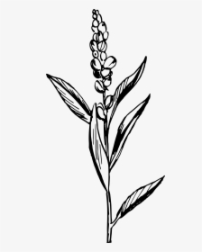 Flower With Roots Clipart Black And White Graphic Black - Flax Clipart, HD Png Download, Transparent PNG