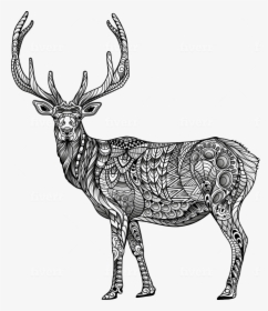 Sketch, HD Png Download, Transparent PNG