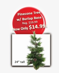 3 Pinecone Tree W Burlap Base - Christmas Tree, HD Png Download, Transparent PNG